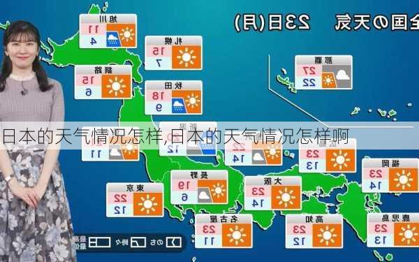 图书 第339页