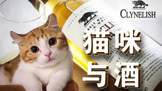 软件开发 第304页
