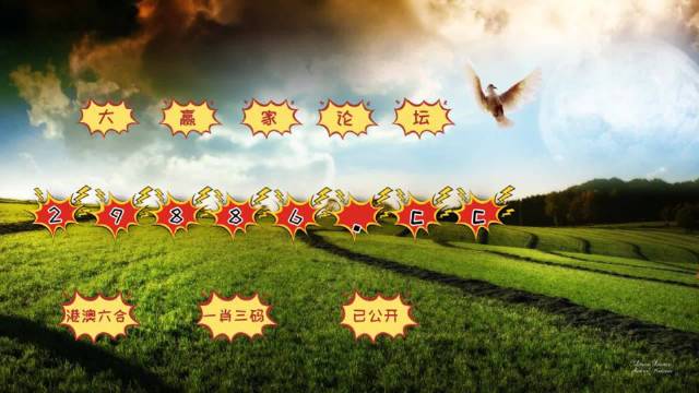 软件开发 第302页
