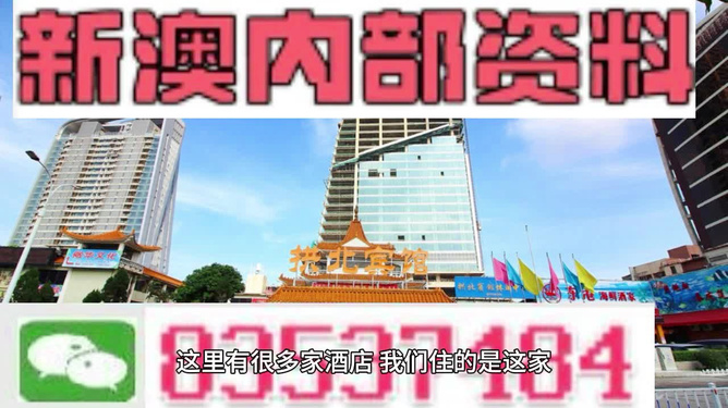 2024新澳最精准免费资料,案例实证分析_随身版28.980