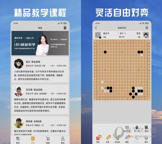 2024年澳门天天开好彩,实地观察解释定义_多功能版3.455