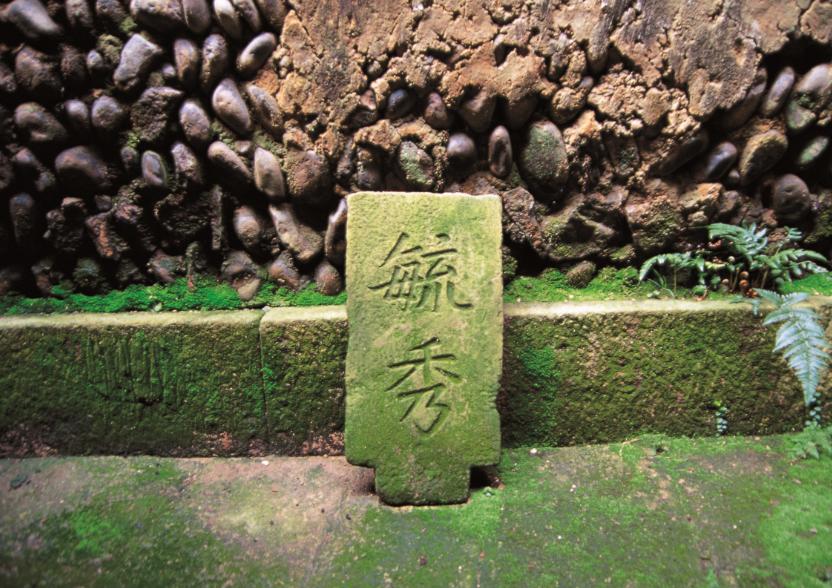 软件开发 第109页