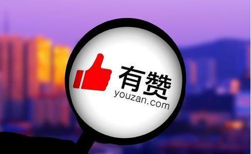 有赞上市，探寻隐藏版特色小店的上市之旅的独特风味