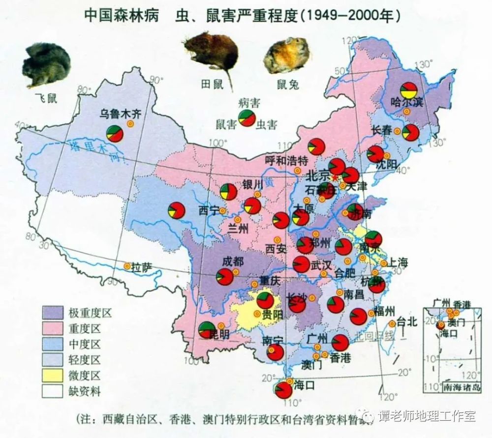 软件开发 第93页