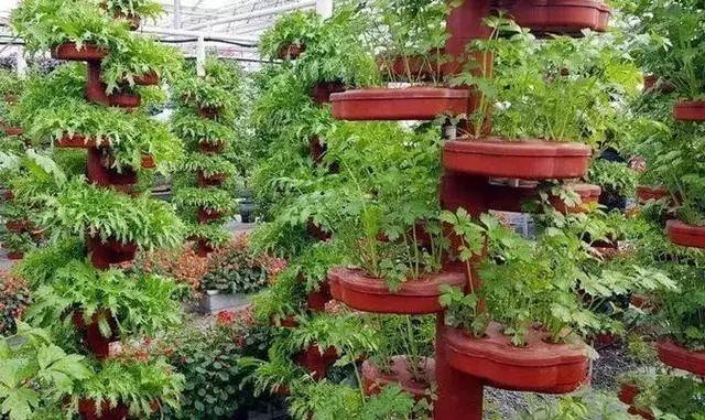 软件开发 第76页