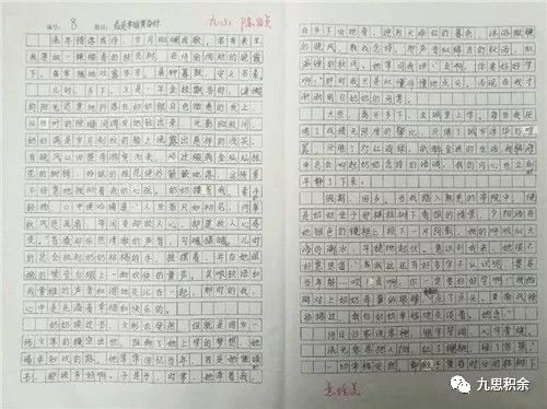 长跑比赛的精彩瞬间与感悟