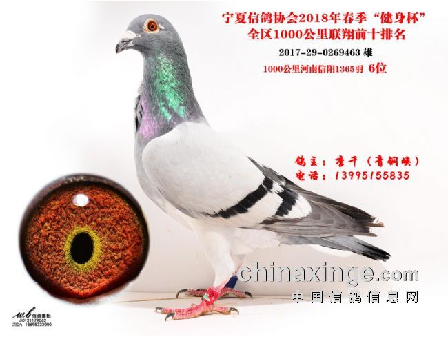 图书 第34页