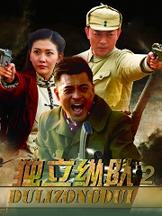 软件开发 第29页