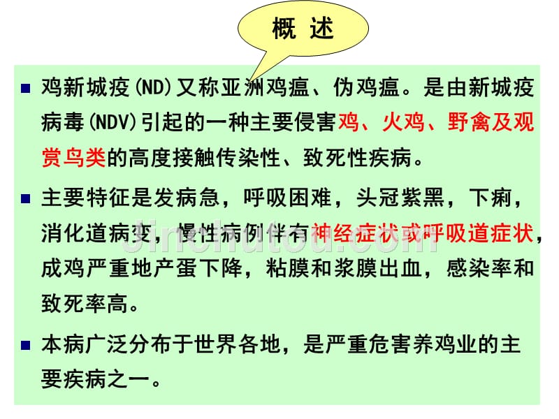 信息技术 第12页