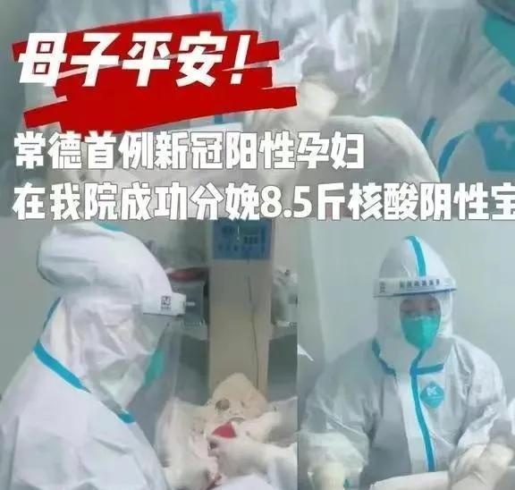 第12天疫情下的温馨时光，日常故事与希望之光